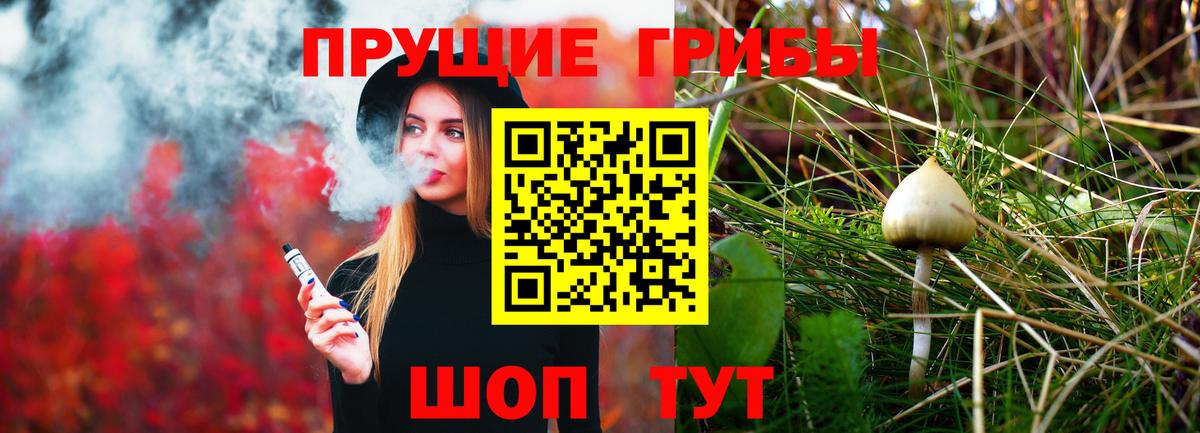 Псилоцибиновые грибы Psilocybe Сердобск